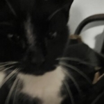 Zdjęcie profilowe SHERLEYYY